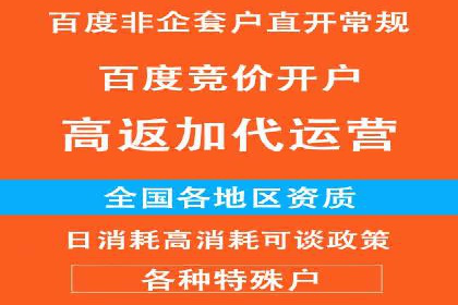某知名企业竞价推广策略全解析